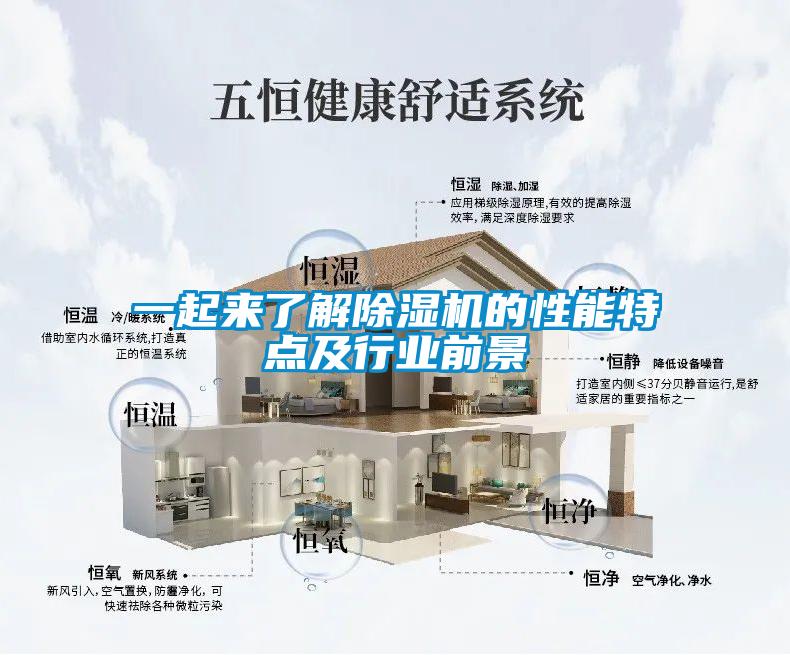 一起來了解除濕機(jī)的性能特點(diǎn)及行業(yè)前景