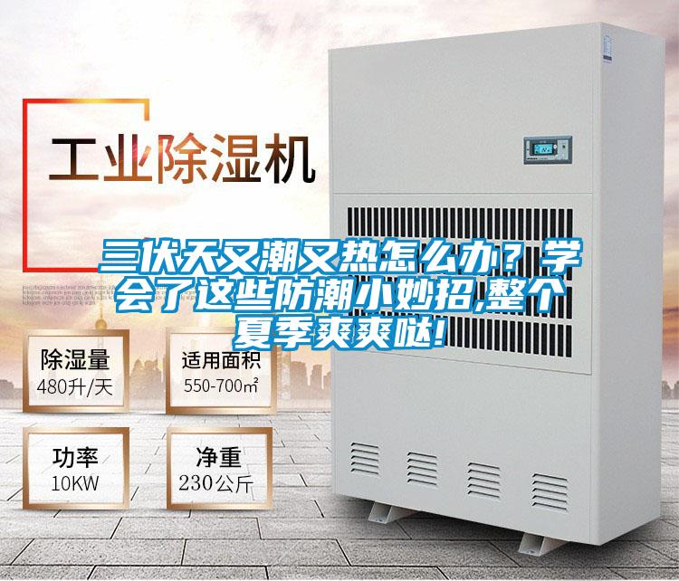 三伏天又潮又熱怎么辦？學(xué)會了這些防潮小妙招,整個夏季爽爽噠!