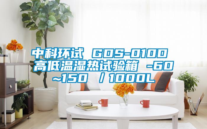 中科環(huán)試 GDS-010D 高低溫濕熱試驗(yàn)箱 -60~150℃／1000L