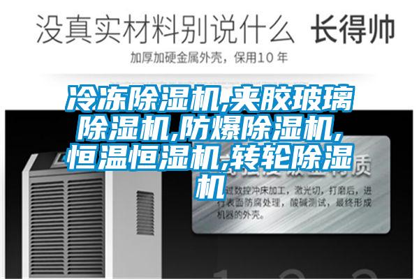 冷凍除濕機(jī),夾膠玻璃除濕機(jī),防爆除濕機(jī),恒溫恒濕機(jī),轉(zhuǎn)輪除濕機(jī)