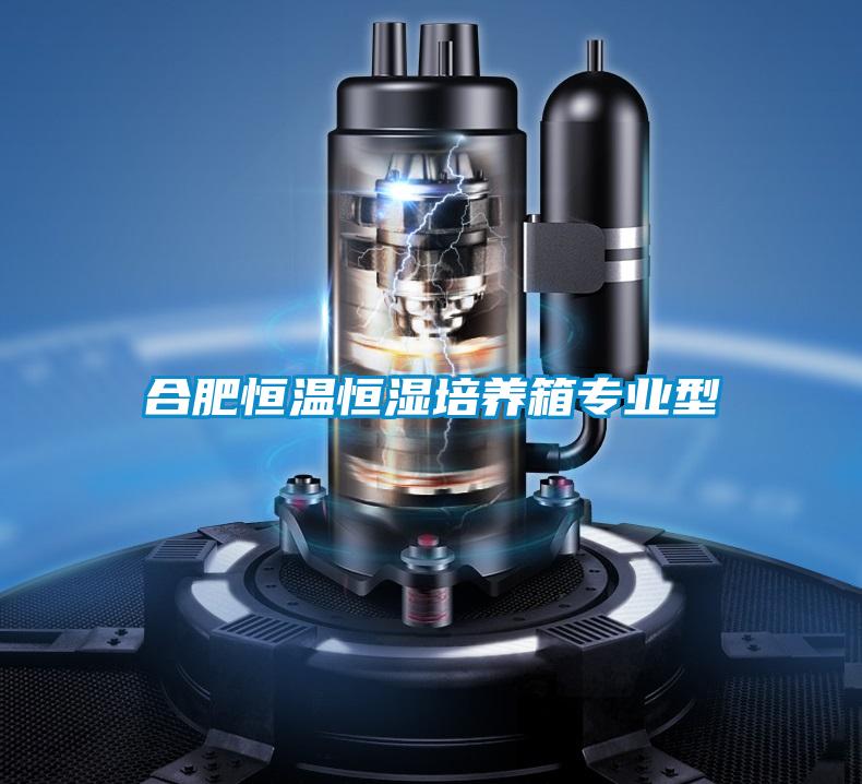 合肥恒溫恒濕培養箱專(zhuān)業(yè)型