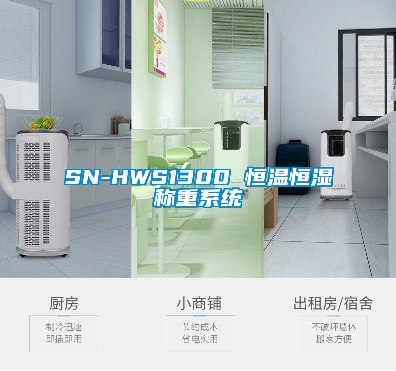 SN-HWS1300 恒溫恒濕稱(chēng)重系統(tǒng)