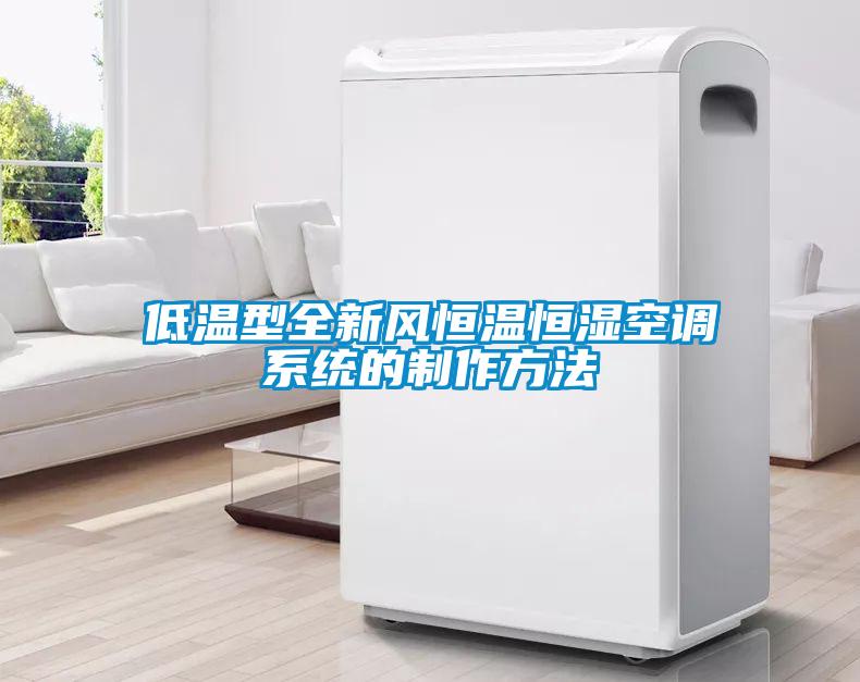 低溫型全新風(fēng)恒溫恒濕空調系統的制作方法