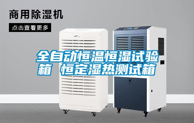 全自動(dòng)恒溫恒濕試驗箱 恒定濕熱測試箱
