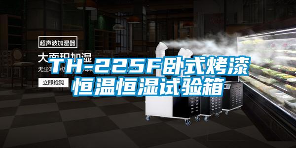TH-225F臥式烤漆恒溫恒濕試驗箱