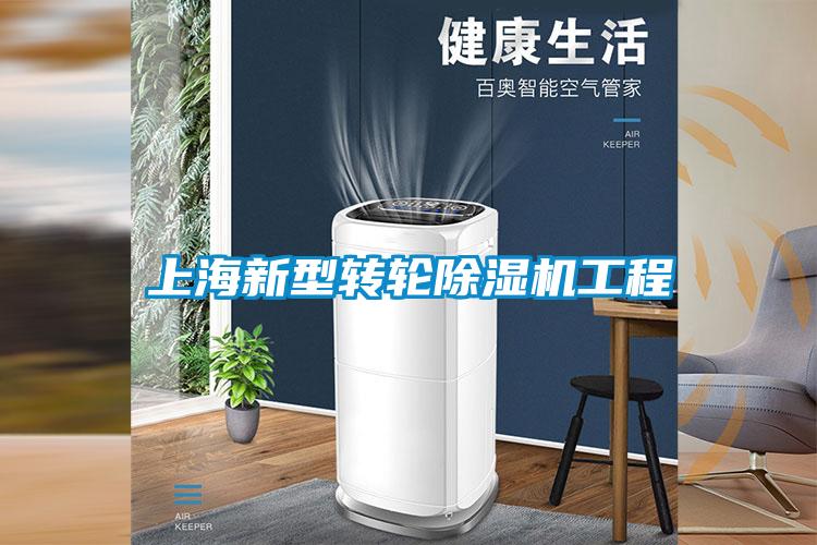 上海新型轉(zhuǎn)輪除濕機(jī)工程