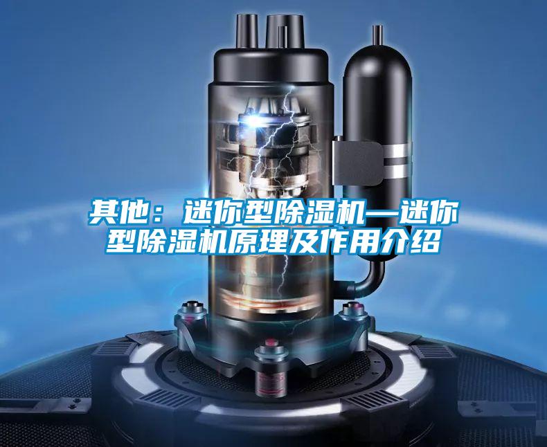 其他：迷你型除濕機(jī)—迷你型除濕機(jī)原理及作用介紹