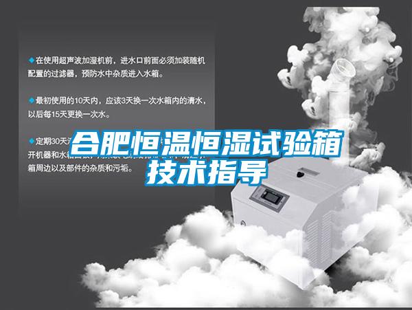 合肥恒溫恒濕試驗箱技術(shù)指導