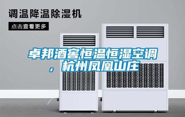 卓邦酒窖恒溫恒濕空調，杭州鳳凰山莊