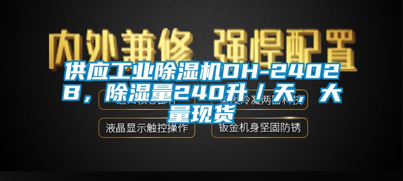 供應工業(yè)除濕機DH-2402B，除濕量240升／天，大量現(xiàn)貨