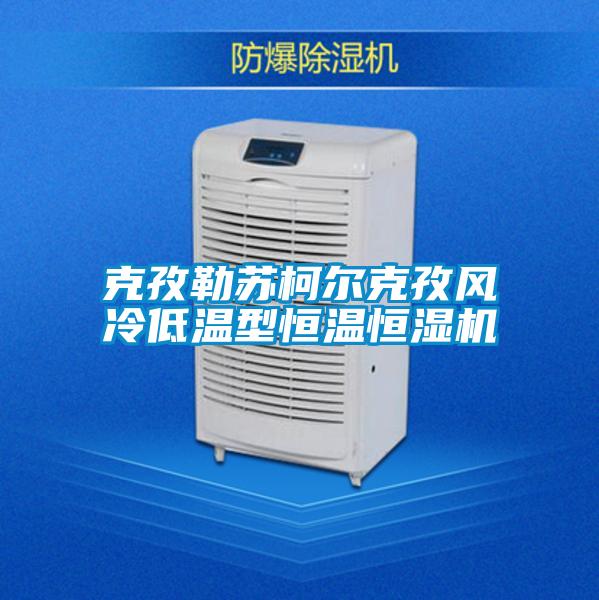 克孜勒蘇柯?tīng)柨俗物L(fēng)冷低溫型恒溫恒濕機