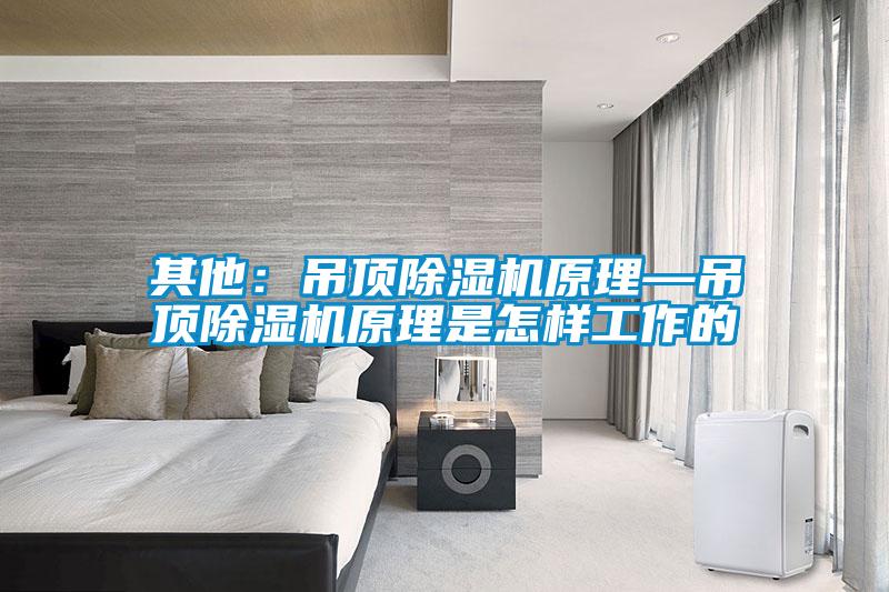 其他：吊頂除濕機(jī)原理—吊頂除濕機(jī)原理是怎樣工作的