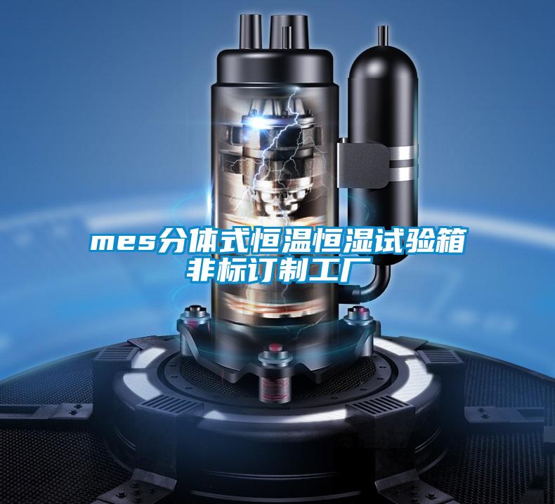 mes分體式恒溫恒濕試驗箱非標訂制工廠(chǎng)