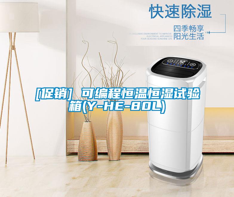 [促銷(xiāo)] 可編程恒溫恒濕試驗箱(Y-HE-80L)