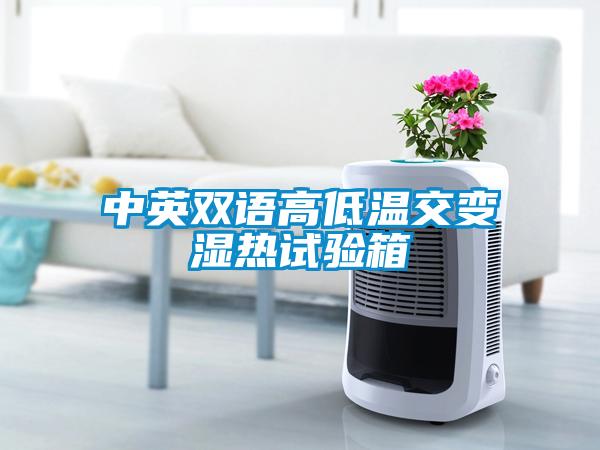 中英雙語(yǔ)高低溫交變濕熱試驗(yàn)箱