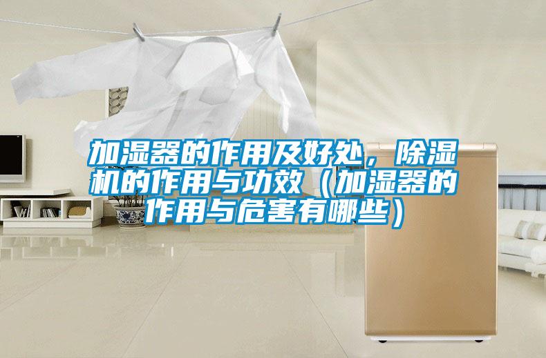 加濕器的作用及好處，除濕機(jī)的作用與功效（加濕器的作用與危害有哪些）