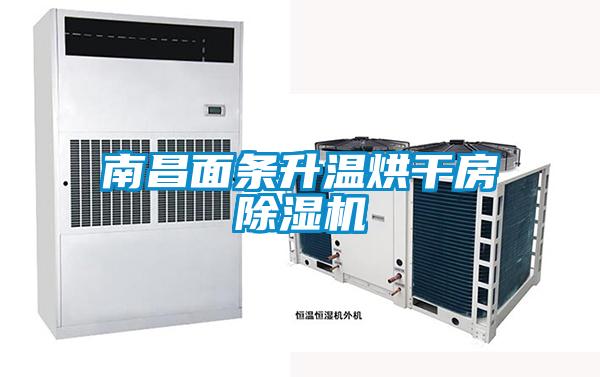 南昌面條升溫烘干房除濕機(jī)
