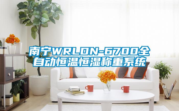 南寧WRLDN-6700全自動(dòng)恒溫恒濕稱(chēng)重系統