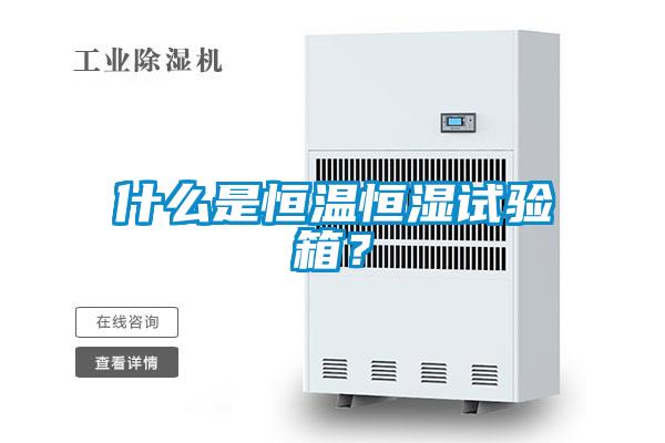 什么是恒溫恒濕試驗箱？