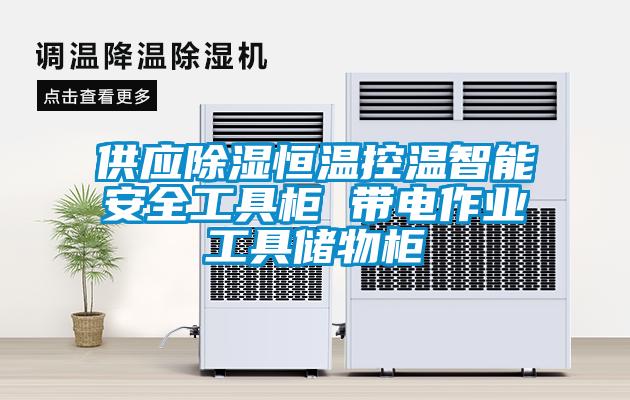 供應除濕恒溫控溫智能安全工具柜 帶電作業(yè)工具儲物柜