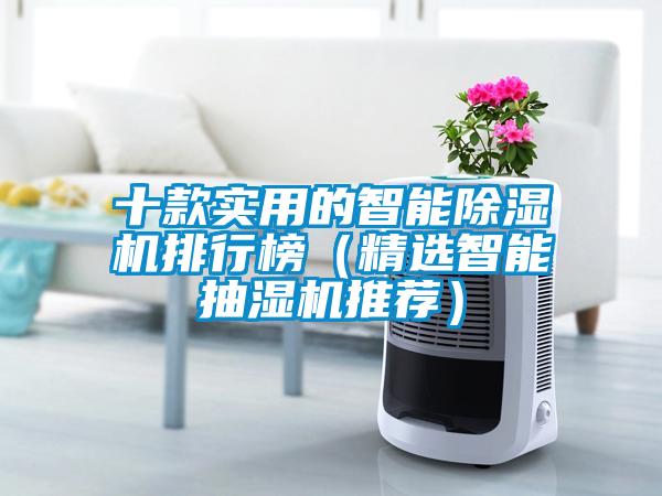 十款實(shí)用的智能除濕機排行榜（精選智能抽濕機推薦）