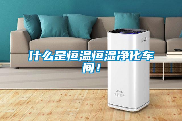 什么是恒溫恒濕凈化車(chē)間！