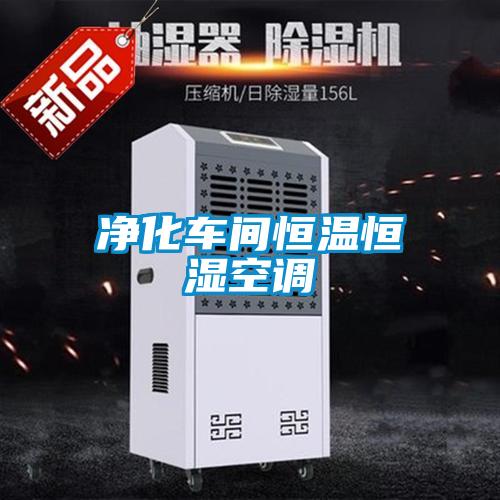凈化車(chē)間恒溫恒濕空調