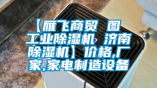 【雁飛商貿 圖  工業(yè)除濕機 濟南除濕機】?jì)r(jià)格,廠(chǎng)家,家電制造設備