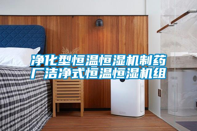 凈化型恒溫恒濕機制藥廠(chǎng)潔凈式恒溫恒濕機組