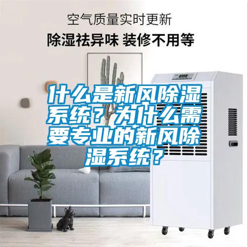 什么是新風(fēng)除濕系統？為什么需要專(zhuān)業(yè)的新風(fēng)除濕系統？