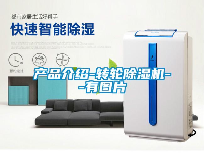 產(chǎn)品介紹-轉(zhuǎn)輪除濕機(jī)--有圖片