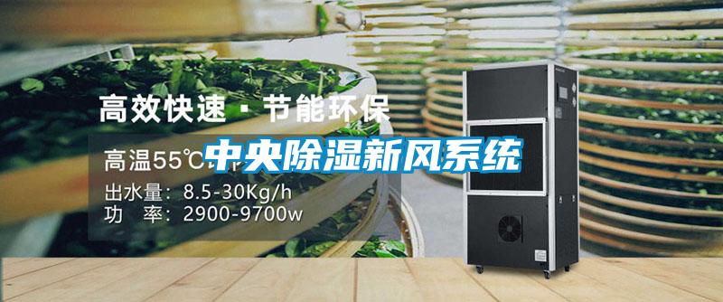 中央除濕新風(fēng)系統(tǒng)