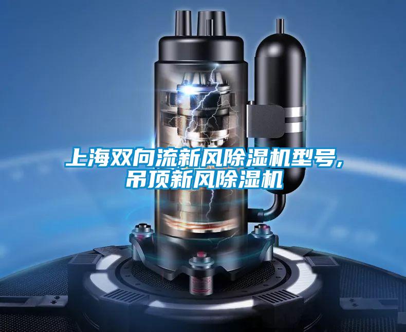 上海雙向流新風(fēng)除濕機型號,吊頂新風(fēng)除濕機