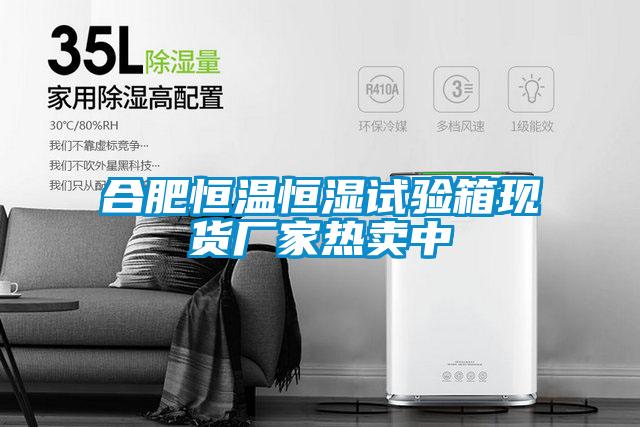 合肥恒溫恒濕試驗箱現貨廠(chǎng)家熱賣(mài)中