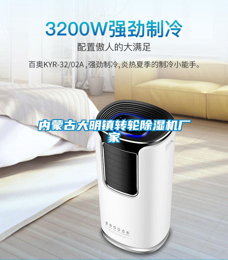 內蒙古大明鎮轉輪除濕機廠(chǎng)家