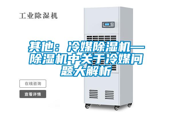 其他：冷媒除濕機(jī)—除濕機(jī)中關(guān)于冷媒問題大解析