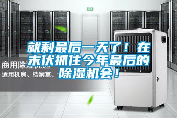 就剩最后一天了！在末伏抓住今年最后的除濕機(jī)會(huì)！