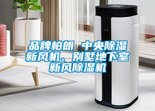 品牌柏朗 中央除濕新風(fēng)機(jī)、別墅地下室新風(fēng)除濕機(jī)