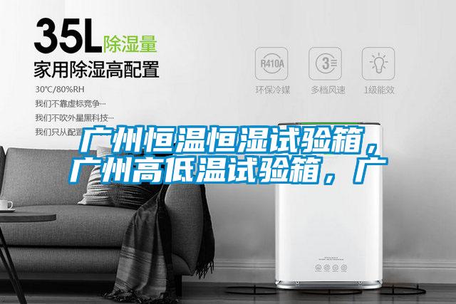 廣州恒溫恒濕試驗箱，廣州高低溫試驗箱，廣