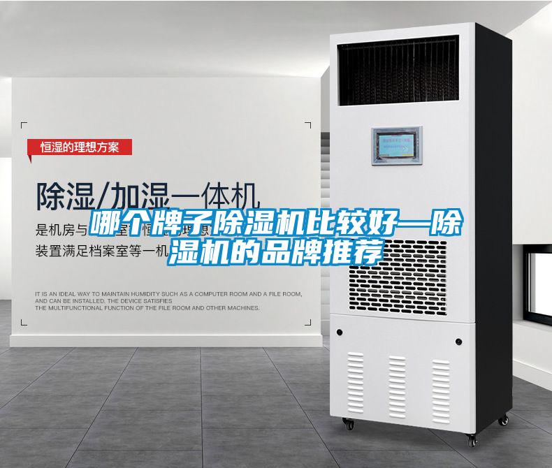 哪個(gè)牌子除濕機比較好—除濕機的品牌推薦