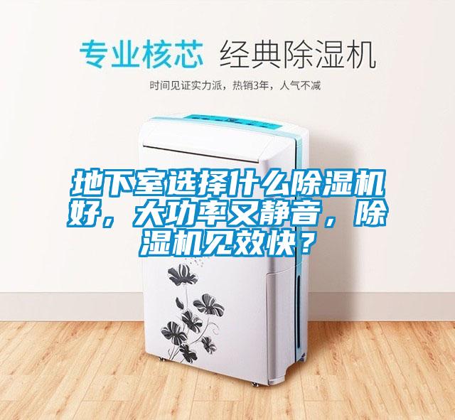 地下室選擇什么除濕機(jī)好，大功率又靜音，除濕機(jī)見效快？