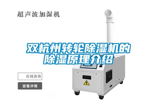 雙杭州轉輪除濕機的除濕原理介紹