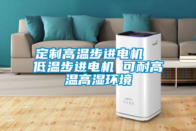 定制高溫步進(jìn)電機(jī)  低溫步進(jìn)電機(jī) 可耐高溫高濕環(huán)境