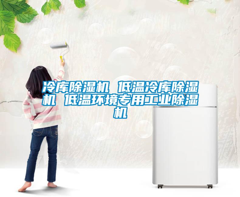 冷庫除濕機 低溫冷庫除濕機 低溫環(huán)境專用工業(yè)除濕機
