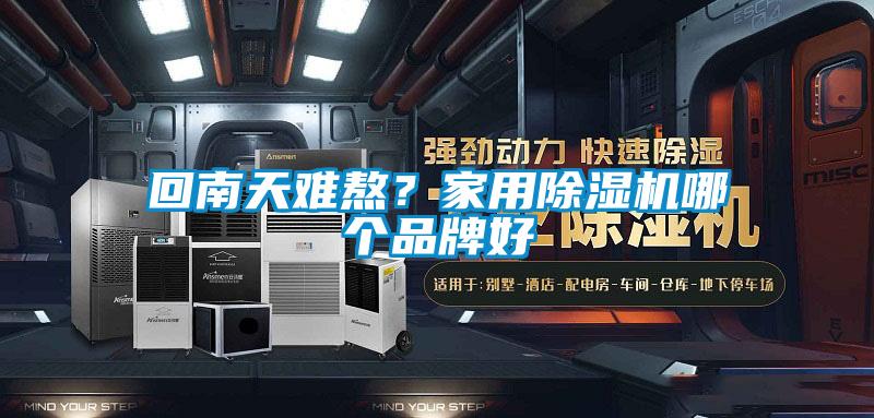 回南天難熬？家用除濕機哪個(gè)品牌好