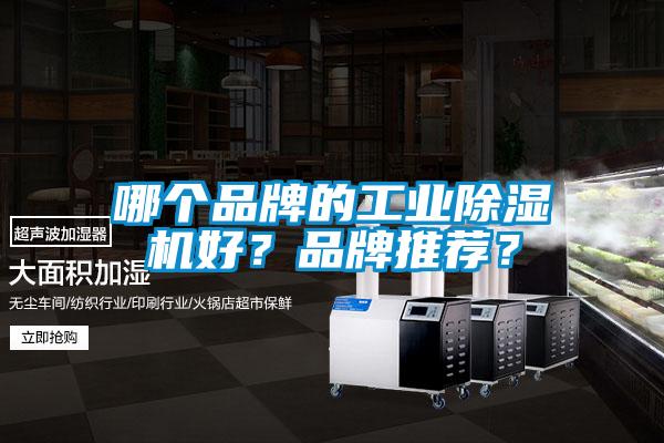 哪個(gè)品牌的工業(yè)除濕機(jī)好？品牌推薦？