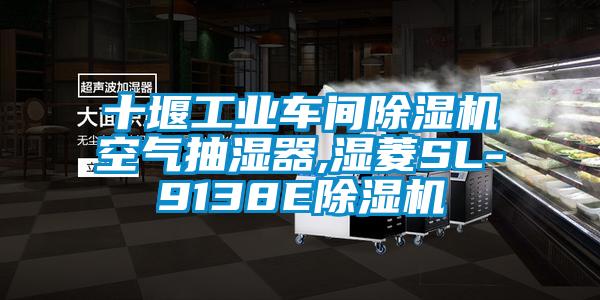 十堰工業(yè)車間除濕機(jī)空氣抽濕器,濕菱SL-9138E除濕機(jī)