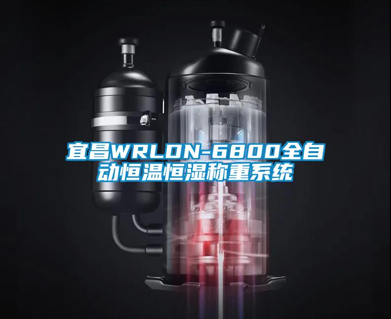 宜昌WRLDN-6800全自動恒溫恒濕稱重系統(tǒng)