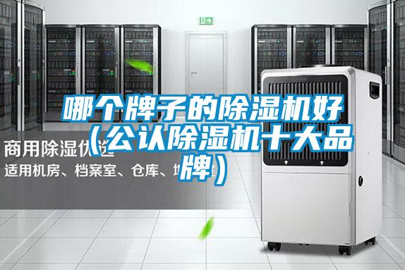 哪個(gè)牌子的除濕機(jī)好（公認(rèn)除濕機(jī)十大品牌）
