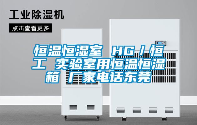 恒溫恒濕室 HG／恒工 實(shí)驗室用恒溫恒濕箱 廠(chǎng)家電話(huà)東莞